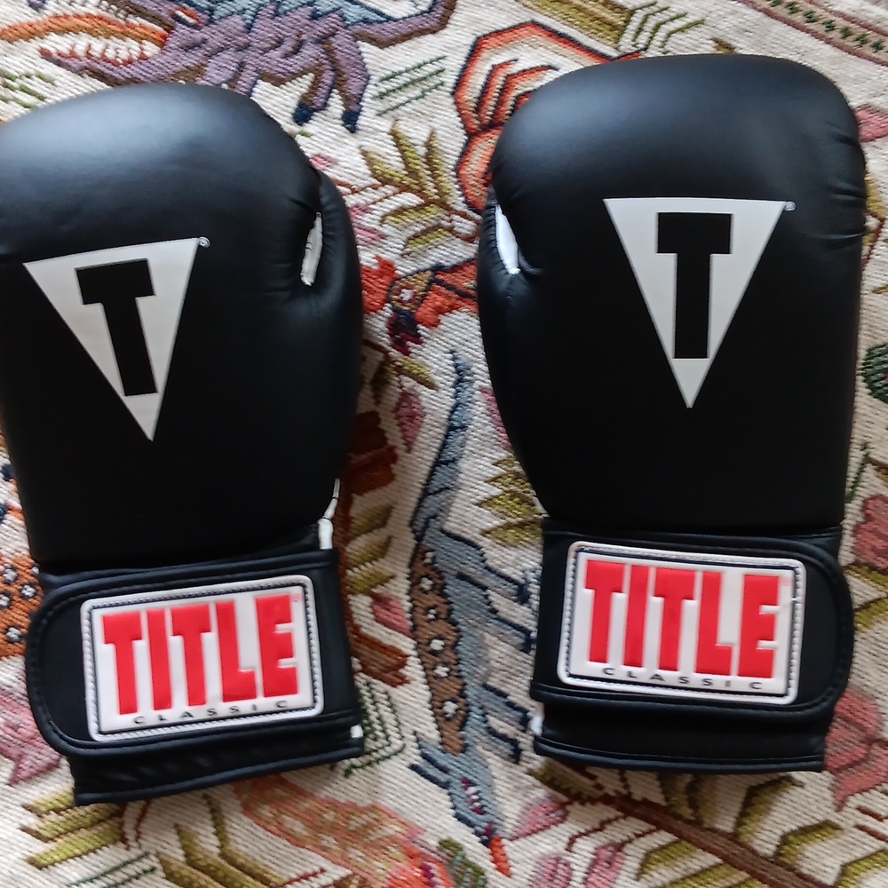 Title BOXING gloves. Like New! Size REG